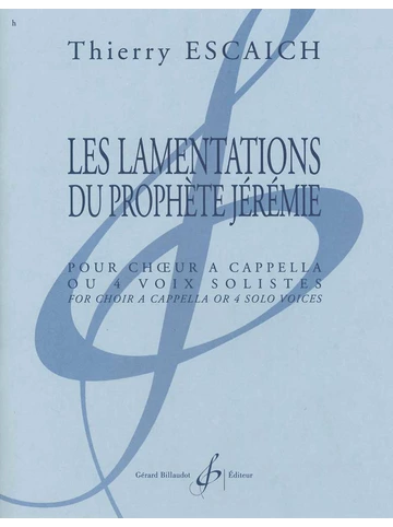 Les lamentations du prophète Jérémie Visuell